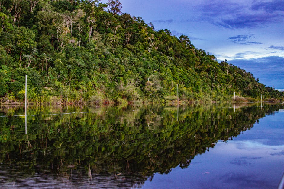 Amazon river beach with clear water