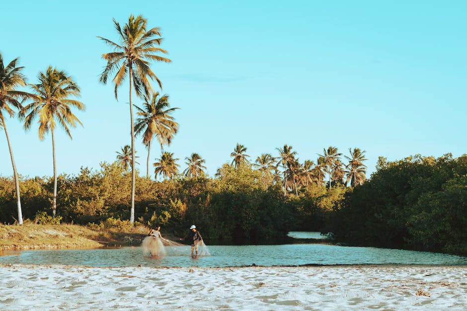 brazilian beach with calm water and coconut trees