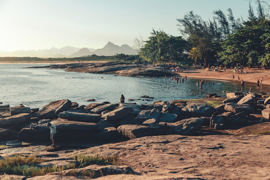 brazilian landscape without people
