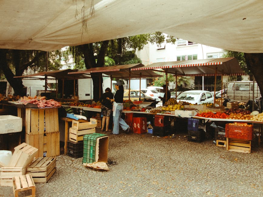 brazilian street food market
