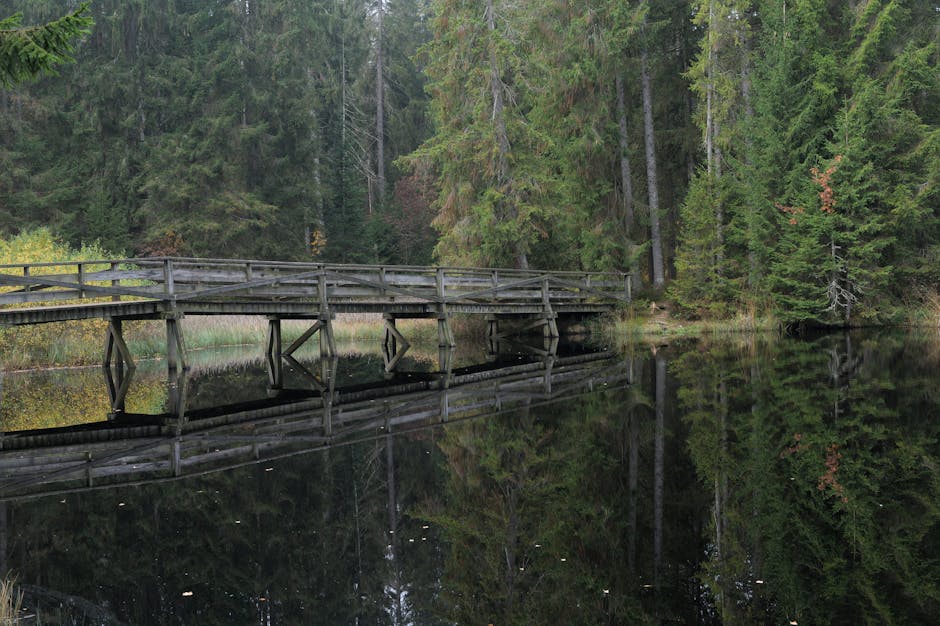 calm lake reflection jura france