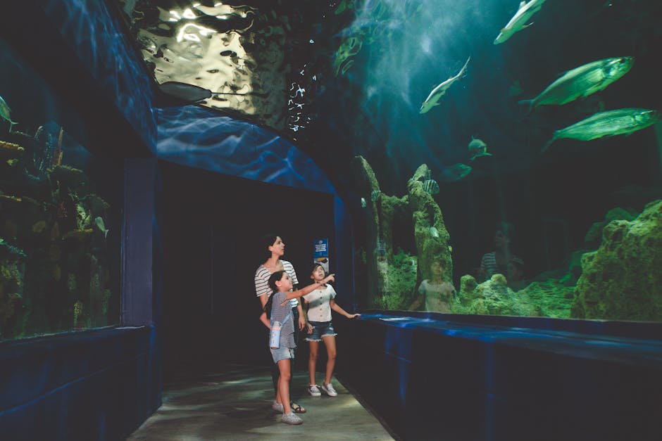 children looking at fish in aquarium