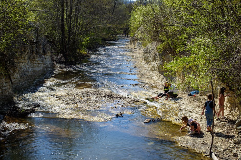children playing by a river in a German forest
