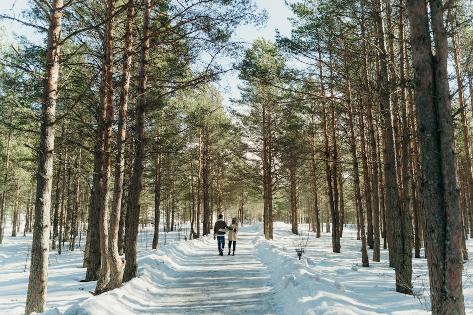 couple hiking quiet forest path