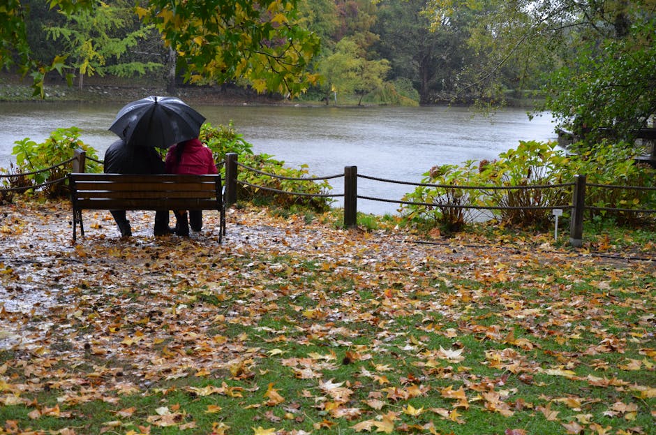 couple on a park bench in autumn