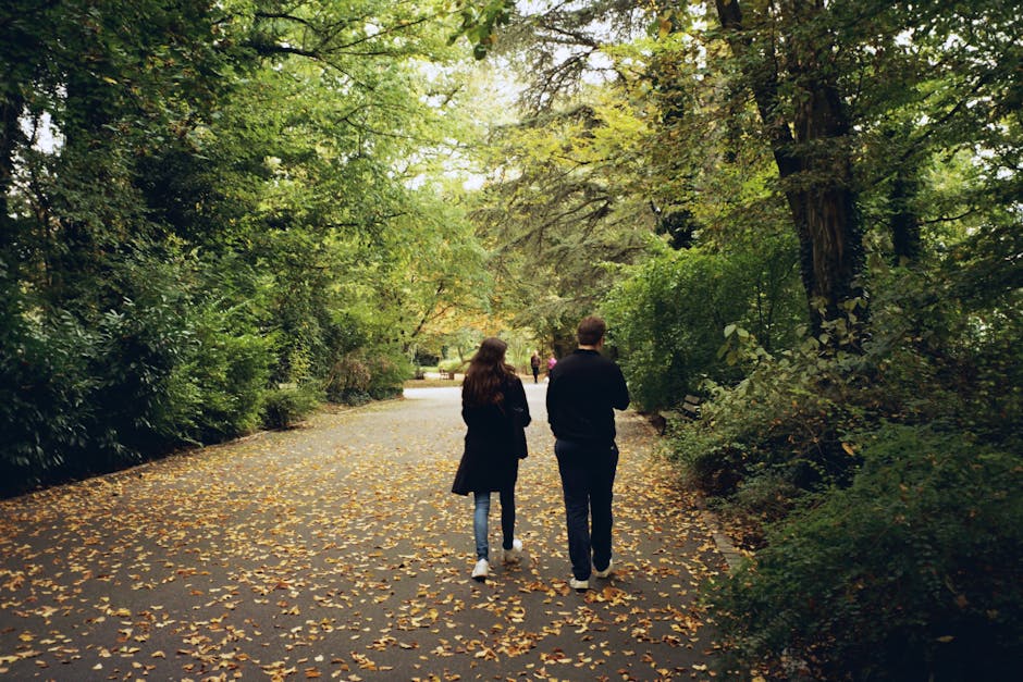 couple walking autumn park france