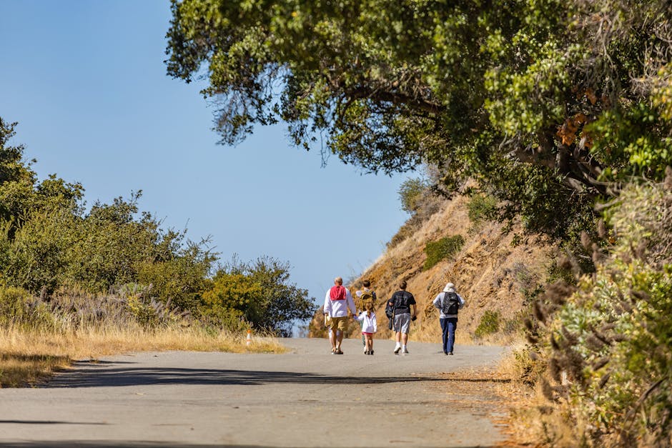 family hiking mountain trail