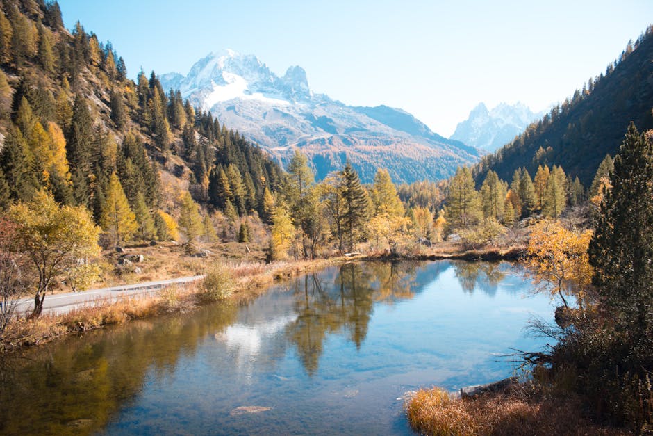 forest lake hiking trail france