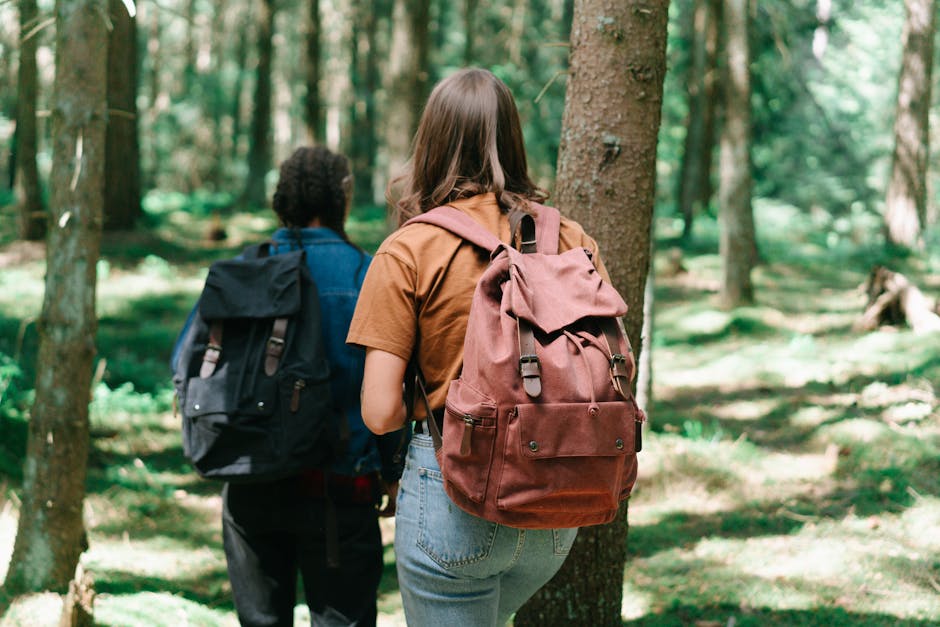 hiking backpack