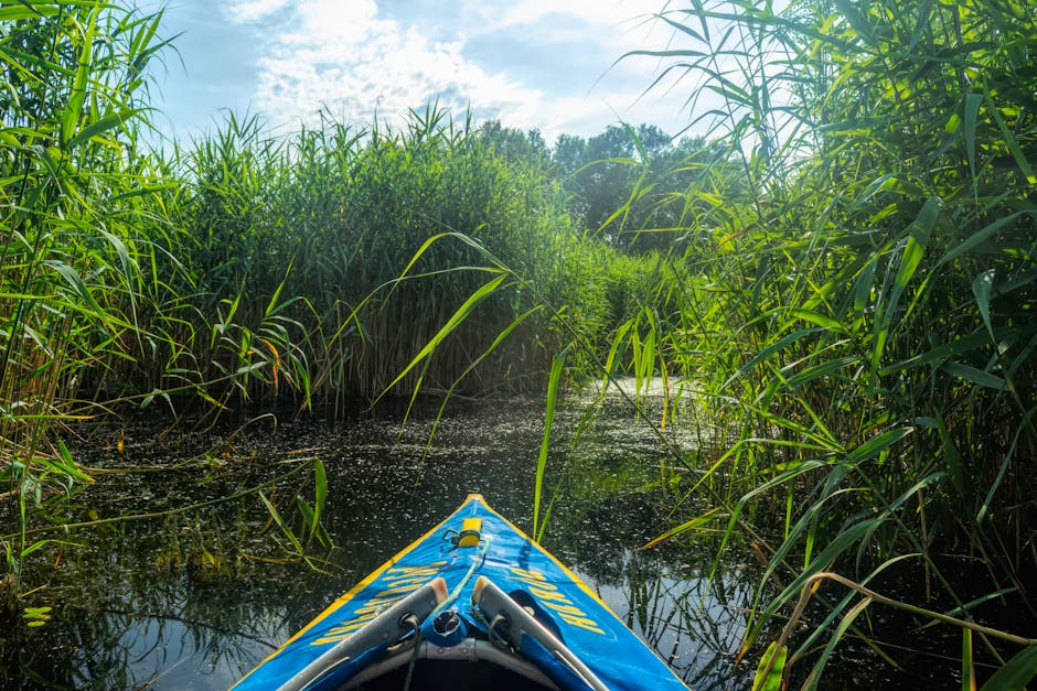 kayaking on river in roztocze national park