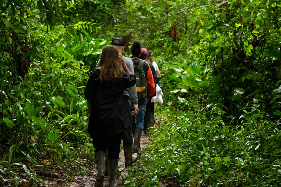 Kids exploring Amazon rainforest