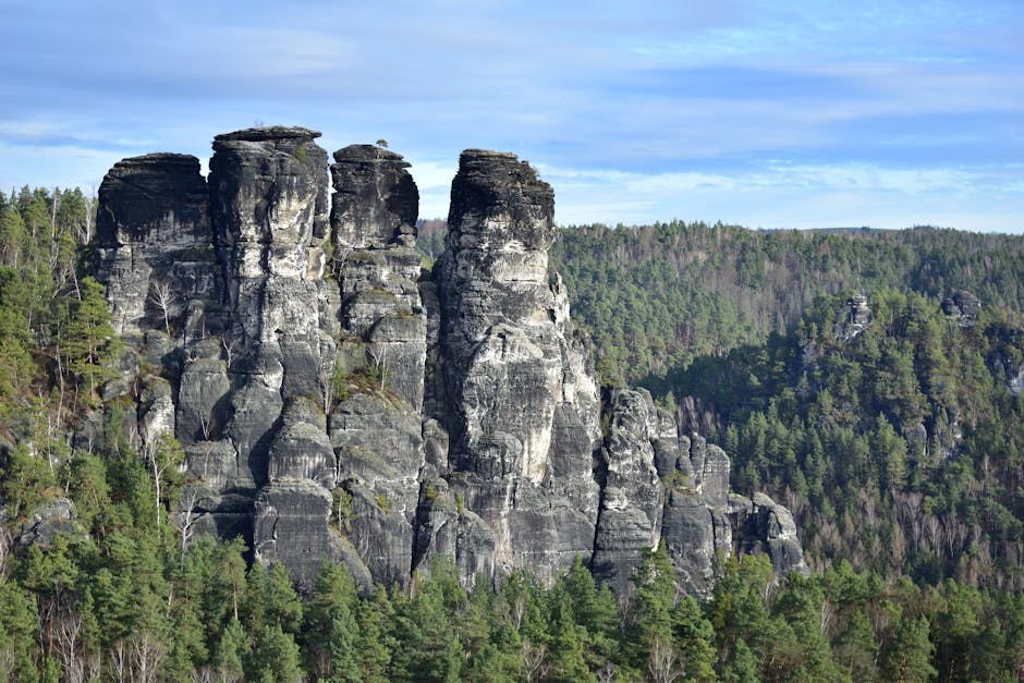 Misty sandstone cliffs Saxon Switzerland national park