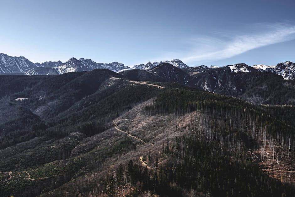 mountains in poland