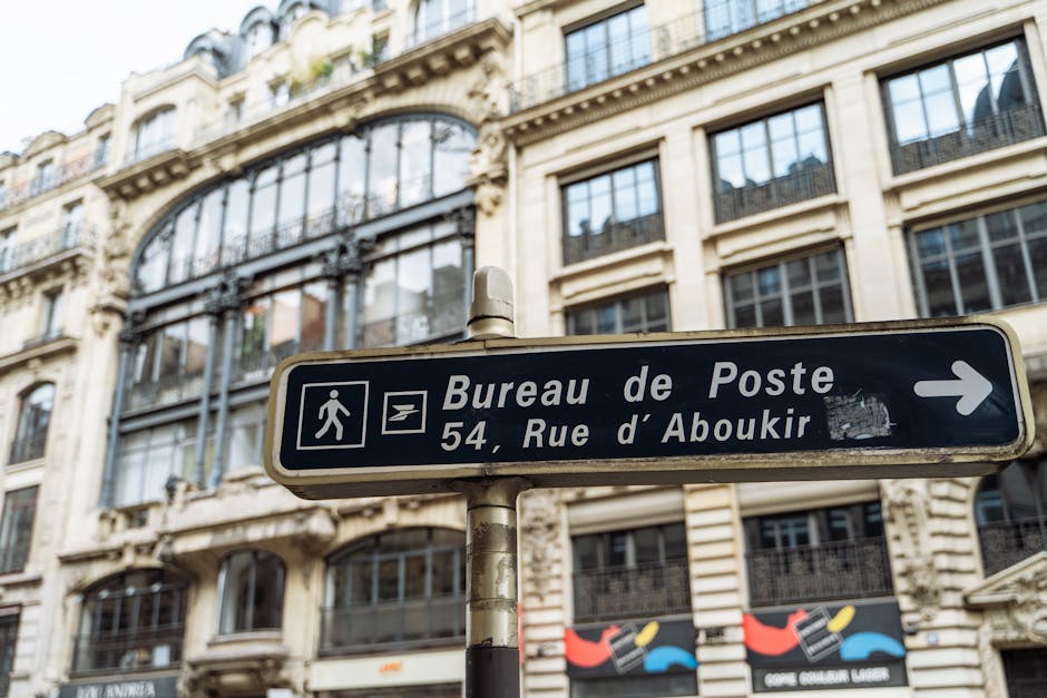 paris fashion office casual