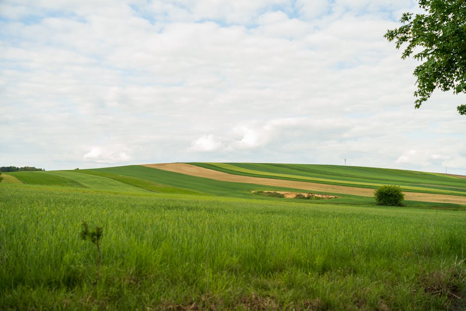 peaceful rural landscape poland