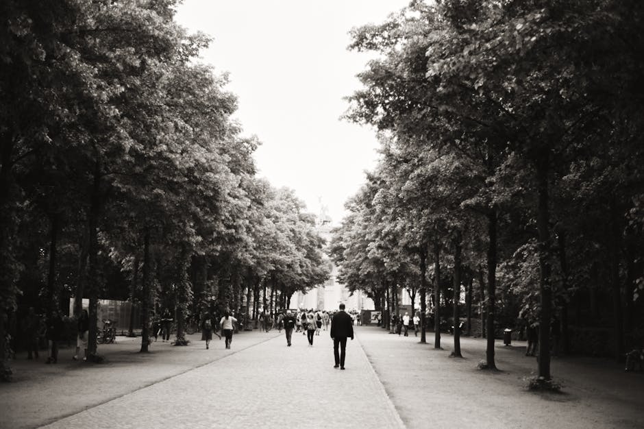 People walking through a bustling city park in Germany