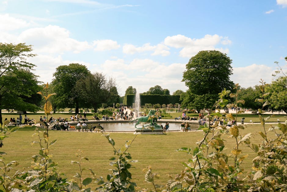 picnic in park paris