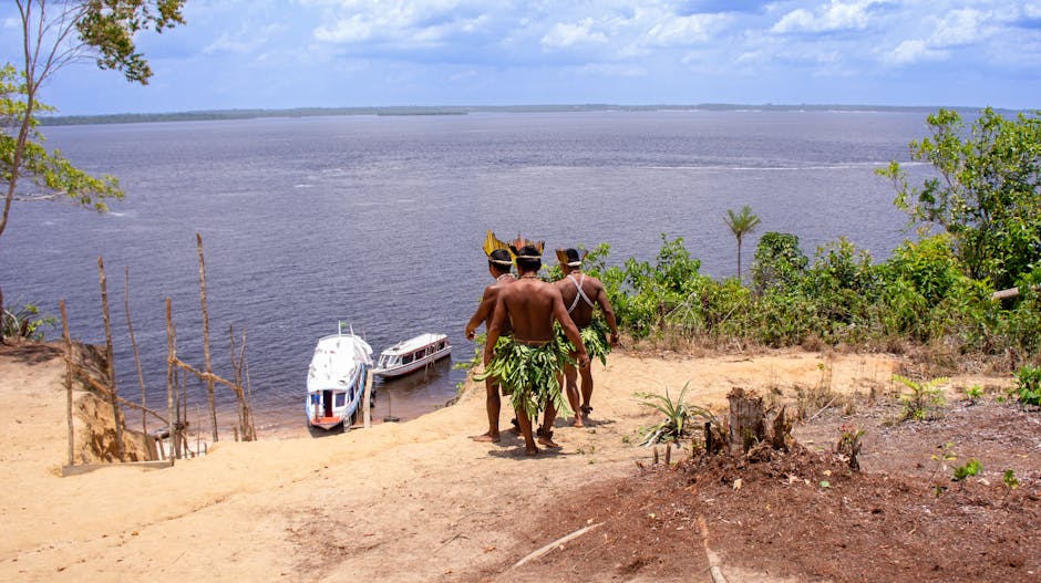 river beach amazon brazil