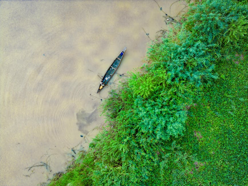 River canoe serene nature