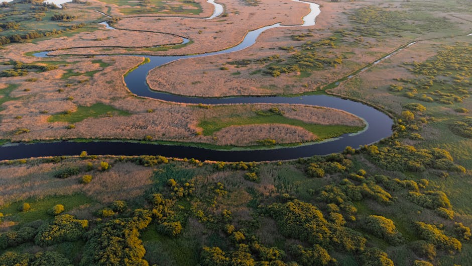 river flowing through vast wetland Poland