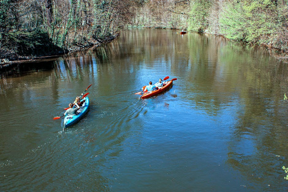 roztocze river kayak forest