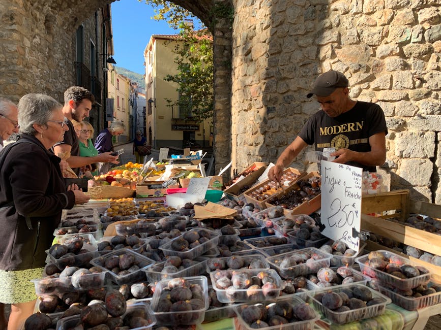rural French market