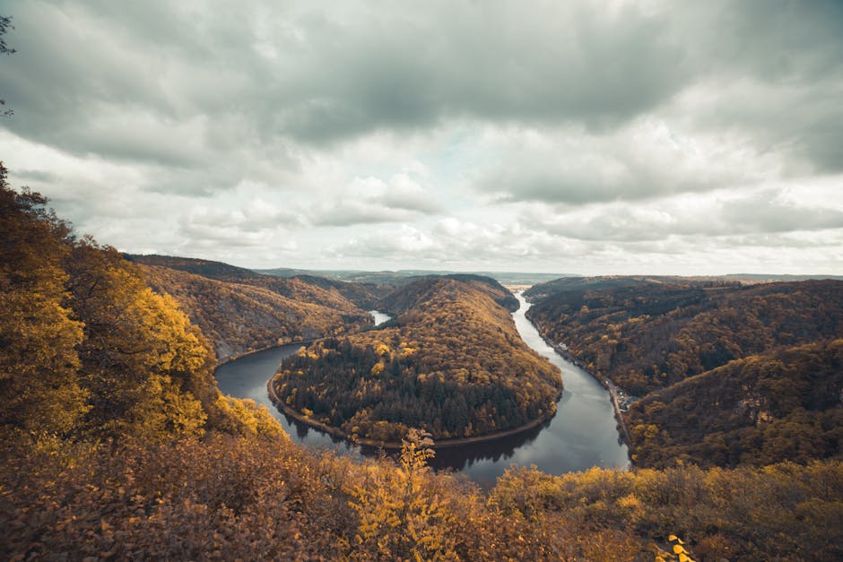 Saar loop viewpoint autumn forest