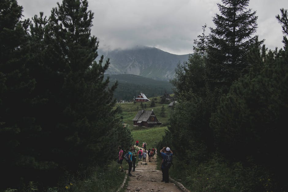 Scenic Polish mountain trail