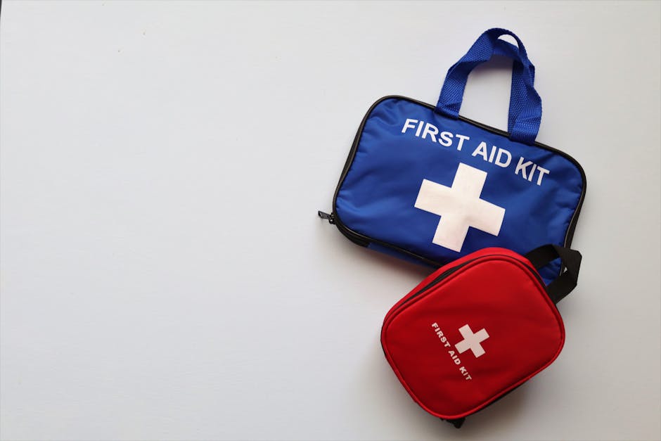 Small travel toiletries and first aid kit in a clear bag