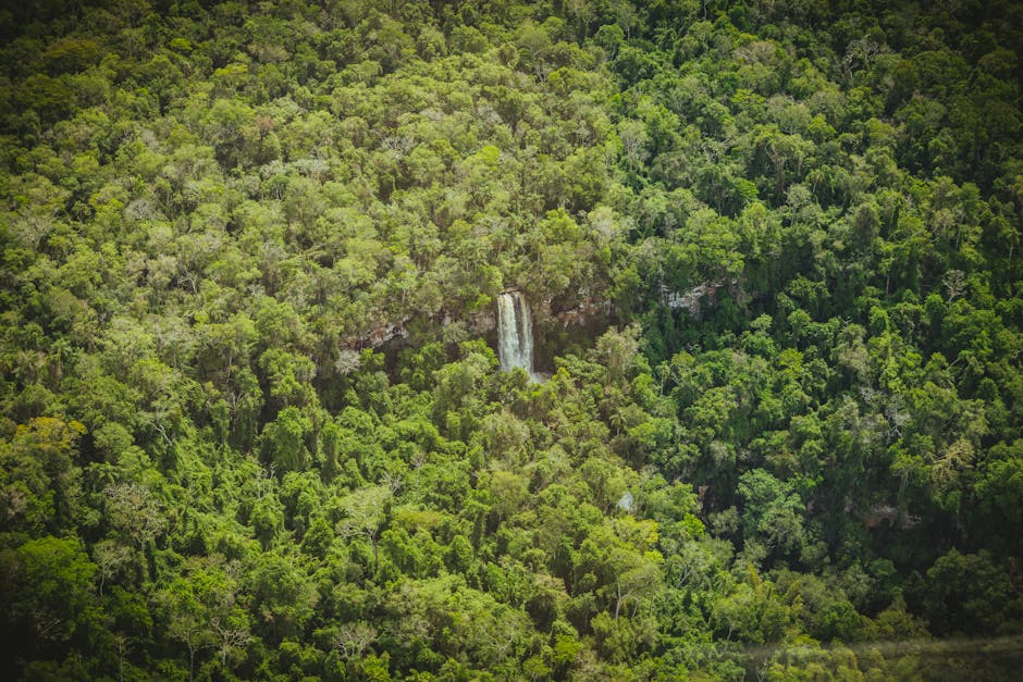 Waterfall in lush Brazilian jungle