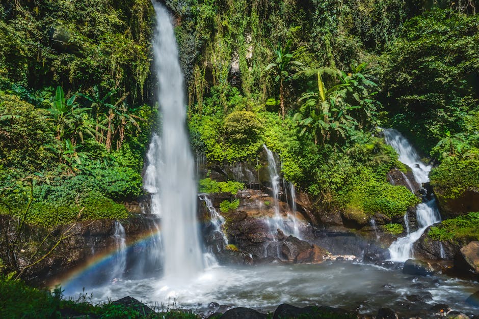 waterfall jungle river